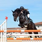 Paardensport: de ruiter leren springen