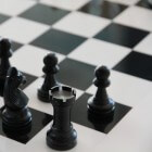 ELO-rating voor schakers