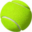 Tennis: het ATP-toernooi van Doha 2020