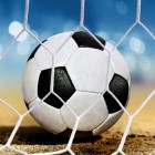WK-bid Nederland en België voor WK voetbal 2018